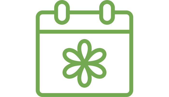 Diseño y paisajismo