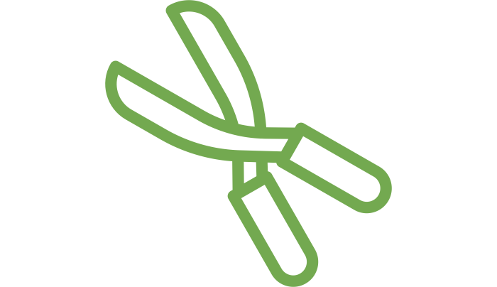Poda de árboles