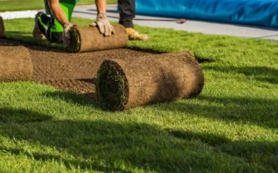 Instalación césped natural en Mallorca: transforma tu gran jardín en un paraíso verde