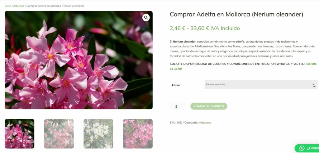 Tienda online plantas mallorca