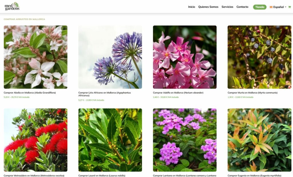 Tienda online plantas Mallorca