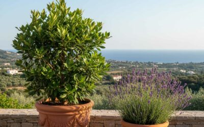 ¿Cuáles son las 7 plantas más aromáticas? Guía completa para tu hogar